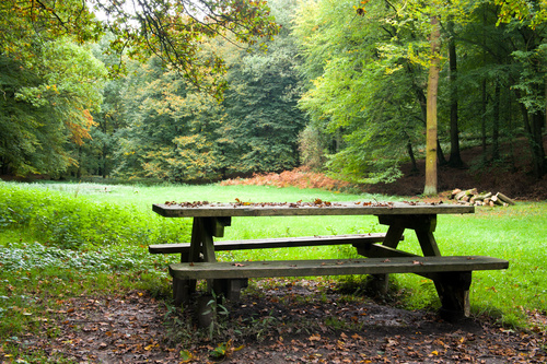 Resting picnic table in the forest Stock Photo 01