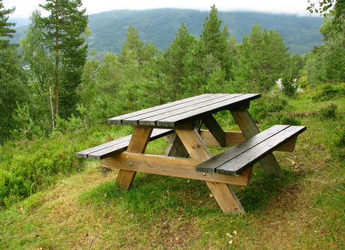 Resting picnic table in the forest Stock Photo 04