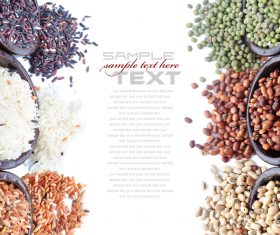 Rice, soybean, and bean on white background vector template