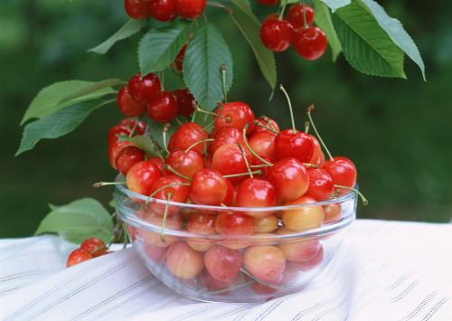 Sweet cherries summer Stock Photo (1)