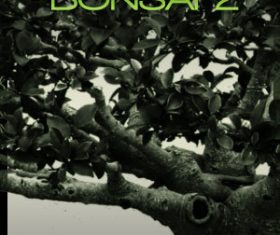 Trees Photoshop Brushes