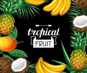 Tropical fruits frame with black background vector