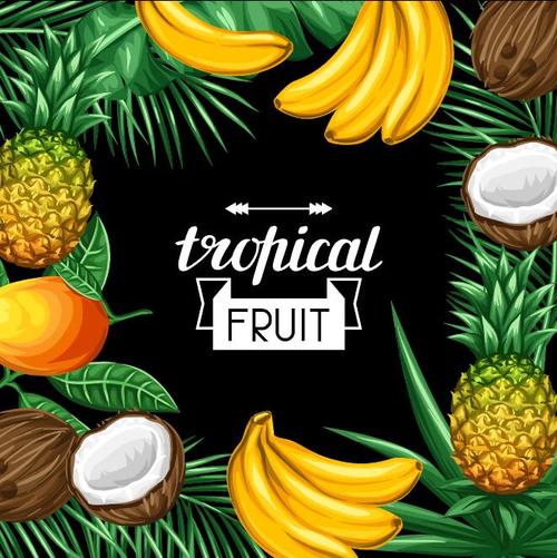 Tropical fruits frame with black background vector