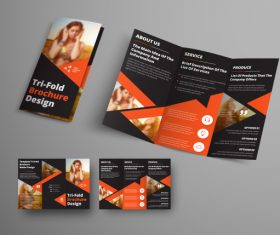 Universal vector business brochure tri-fold 05