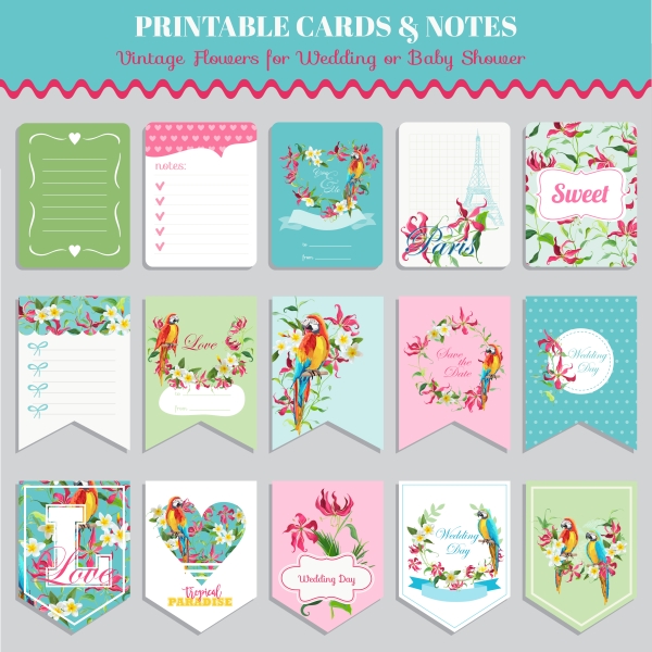 Vector printable cards and notes - Parrot set