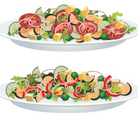 Vegetable salad design vector