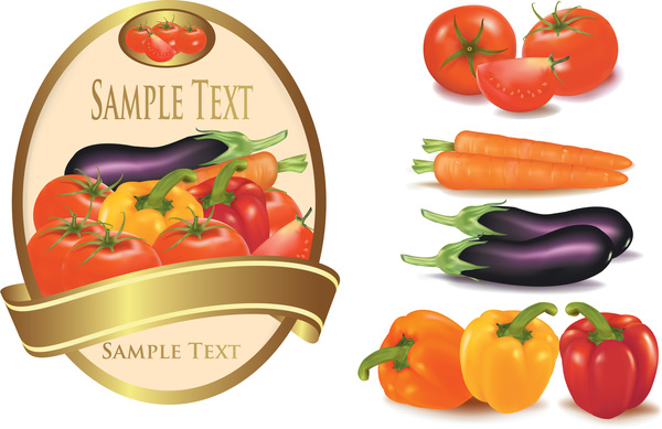 Vegetable with labels vector material