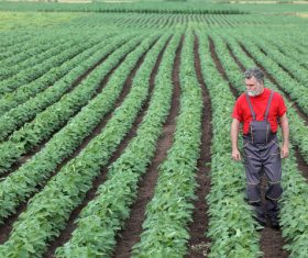 View crop farmers Stock Photo