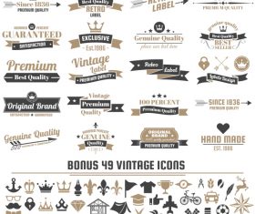 Vintage vector labels and icons 07