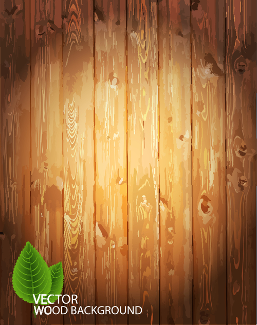 Vintage wooden texture background design vector 04