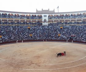 Watch the bullfighting audience Stock Photo 01