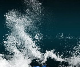 Water Flower Splashes Photoshop Brushes