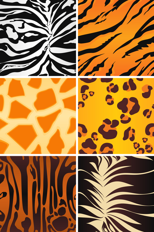 Wild animal skin pattern vector set 04