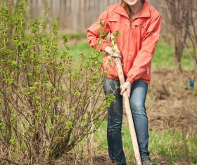 Woman gardening Stock Photo 03
