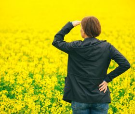 Woman looking at rape flowers Stock Photo