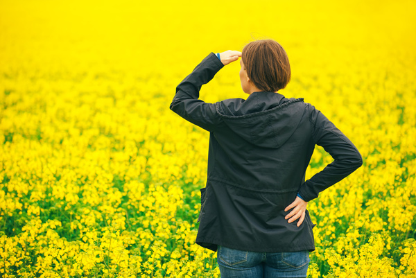 Woman looking at rape flowers Stock Photo