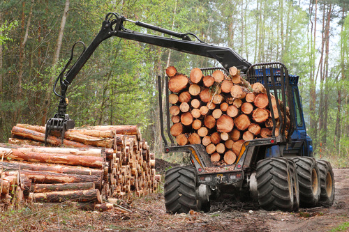 Wood loader Stock Photo 02