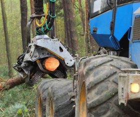 Wood loader Stock Photo 04