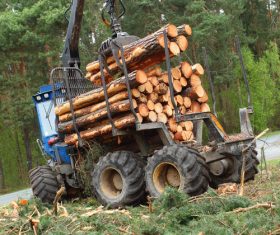 Wood loader Stock Photo 05