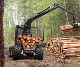 Wood loader Stock Photo 06