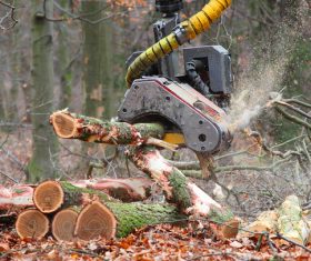 Wood loader Stock Photo 07