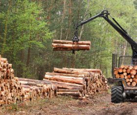 Wood loader Stock Photo 08