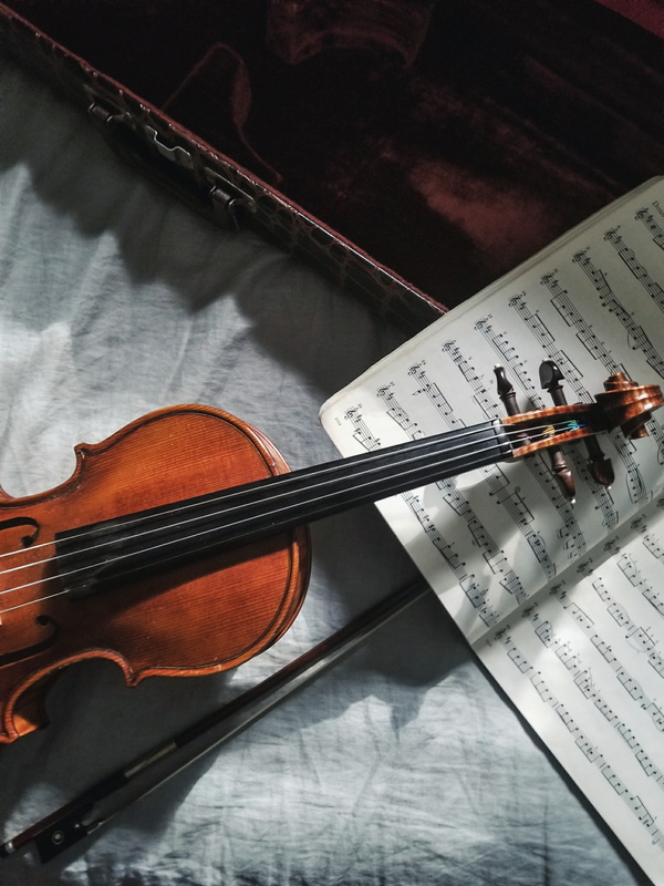 classical violin instrument and music notebook Stock Photo