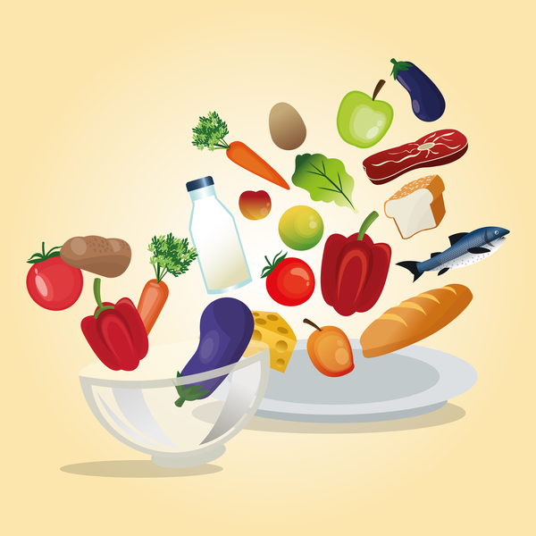 healthy food illustration vectors 06