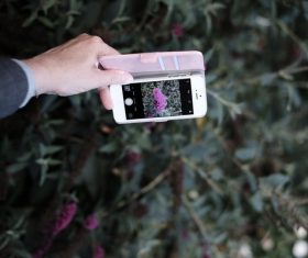 man taking photo of wild flowers Stock Photo
