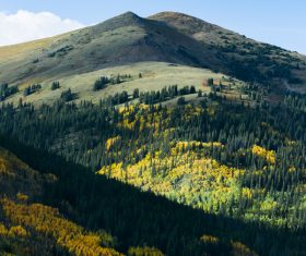 mountain forest scenery in spring Stock Photo