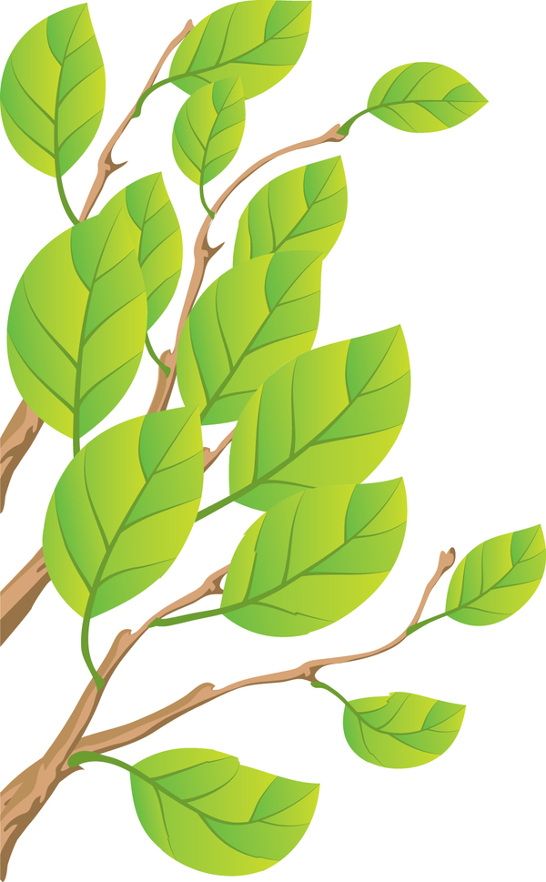 tree branches with green leaves vector free download