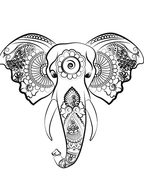 elephant line art vector