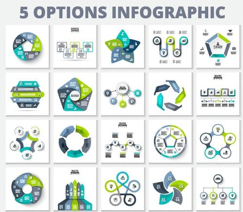5 Kind option infographic vector