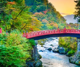 A red wooden bridge in the jungle Stock Photo