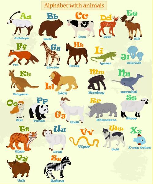 Alphabet with animal vector