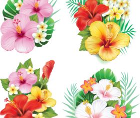 Arrangement from hibiscus flowers vector