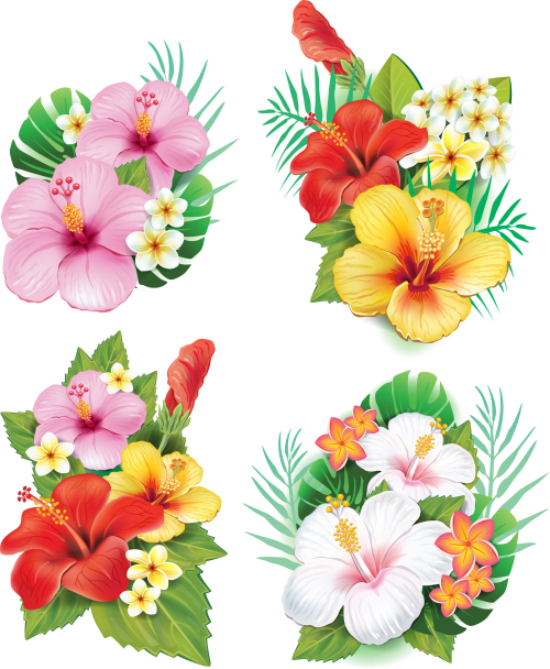 Arrangement from hibiscus flowers vector