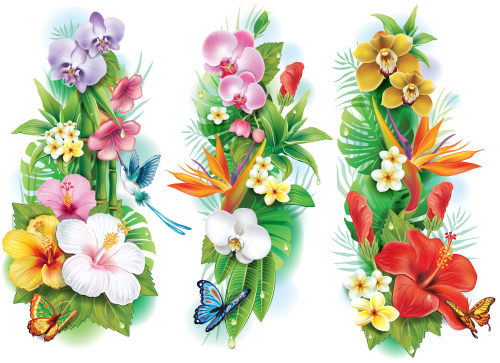 Arrangement from tropical flowers and leaves vector