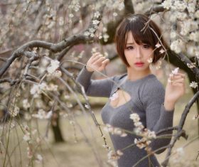 Beautiful asian girl and cherry blossom Stock Photo