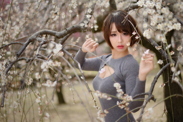 Beautiful asian girl and cherry blossom Stock Photo