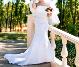 Bride in white wedding dress standing on the steps Stock Photo