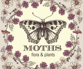 Butterfly background with flower frame vector 02