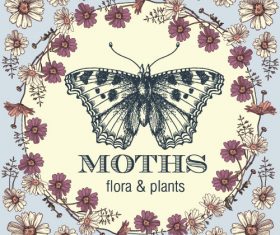 Butterfly background with flower frame vector 03