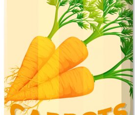 Carrots canned vector 01