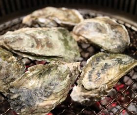 Charcoal grilled oysters Stock Photo 02