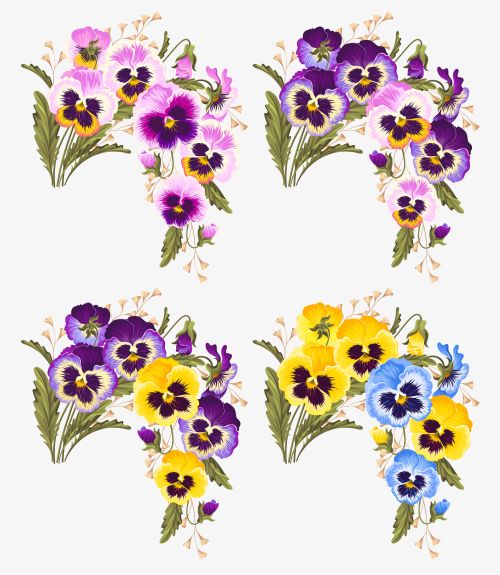 Colorful pansies vector