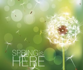 Dandelion with spring background vector 01