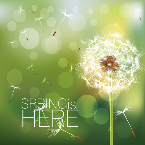 Dandelion with spring background vector 01