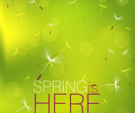 Dandelion with spring background vector 02