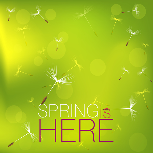 Dandelion with spring background vector 02